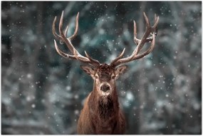 Tablou - Cerbul majestic (90x60 cm)