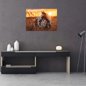 Tablou - Cal la Apus (70x50 cm)