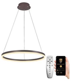 Lustră LED pe cablu dimabilă LED/42W/230V 3000-6500K + telecomandă