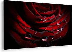 Tablou - Trandafir (90x60 cm)