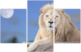 Tablou - Leu alb (90x60 cm)