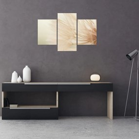 Tablou - Detaliu flori (90x60 cm)