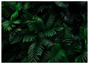 Tablou pe sticlă - Păpădii tropicale (70x50 cm)