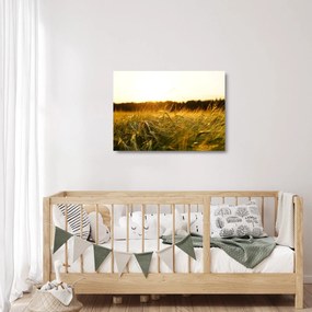Tablou pe sticlă iarba cu rouă (70x50 cm)