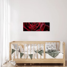 Tablou - Trandafir roșu (cu ceas) (90x30 cm)