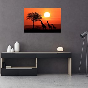 Tablou cu girafe în apus de soare (90x60 cm)