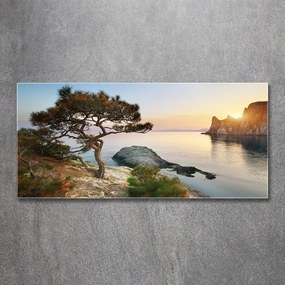 Pictura pe sticlă acrilică Arborele de mare