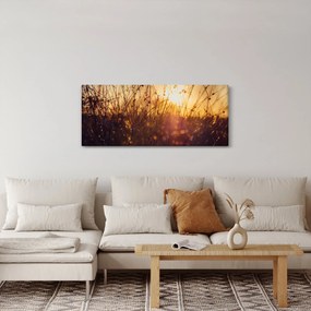 Tablou - Câmp la apus de soare (120x50 cm)