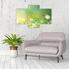 Tablou - Păpădie înflorită (90x60 cm)