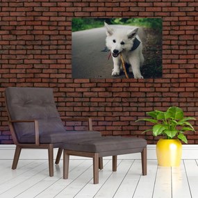Tablou cu câinele alb (90x60 cm)