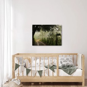 Tablou cu ceața de dimineața (70x50 cm)