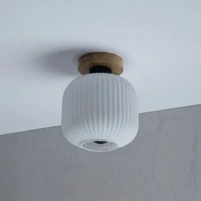 Plafonieră HARMA WOOD 1xE27/15W/230V stejar/alb Ø 20 cm