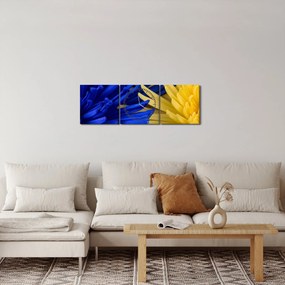 Tablou - detaliu florilor (cu ceas) (90x30 cm)