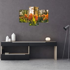 Tablou - florile lalelelor (90x60 cm)