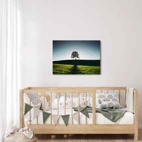Tablou cu natura - copac (70x50 cm)