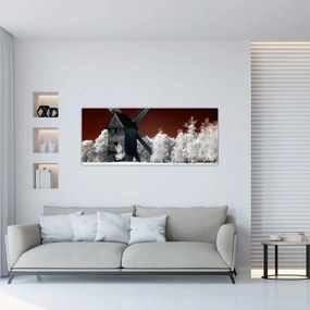 Tablou cu moară (120x50 cm)