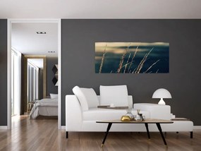 Tablou cu ierburi (120x50 cm)