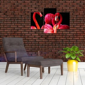Tablou cu flamengo roșii (90x60 cm)