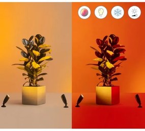 WiZ - Spot LED RGBW 4W 12V IP65 dimabil Wi-Fi pentru exterior