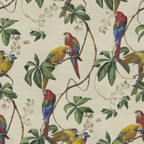 Fototapet, Parrots, Sand, Rebel Walls