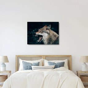 Tablou pe sticlă cu lup (70x50 cm)