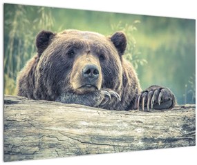 Tablou cu urs (90x60 cm)
