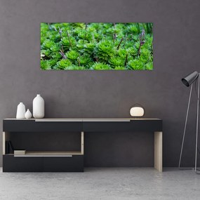 Tablou - Aloe (120x50 cm)