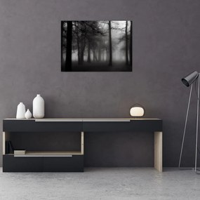 Tablou - Pădure în ceață (70x50 cm)