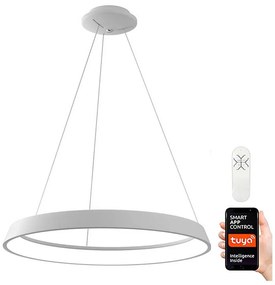 Immax NEO 07079L - Lampă LED reglabilă pe cablu LIMITADO LED/39W/230V 60 cm+DO