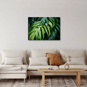 Tablou - Frunze tropicale (70x50 cm)