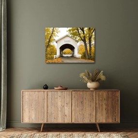 Tablou cu podul în Oregon (70x50 cm)