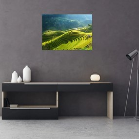 Tablou pe sticlă - Concert Terase de orez (70x50 cm)