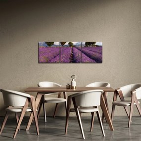 Tablou - câmp de lavandă și munți (cu ceas) (90x30 cm)