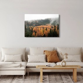 Tablou - Pădure toamna (90x60 cm)