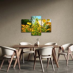 Tablou - Flori galbene (90x60 cm)