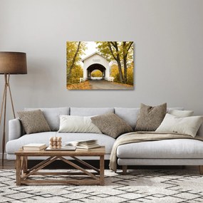 Tablou pe sticlă cu podul în Oregon (70x50 cm)