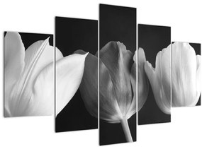 Tablou - Lalele alb negre (150x105 cm)