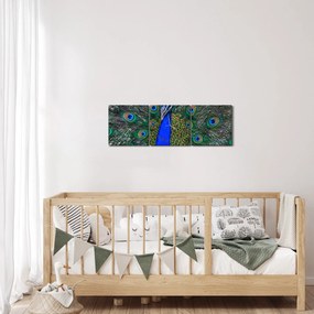Tablou - Păun (cu ceas) (90x30 cm)