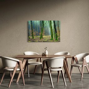 Tablou cu pădure (90x60 cm)