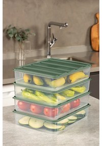 Caserole pentru alimente 4 buc. – Hermia