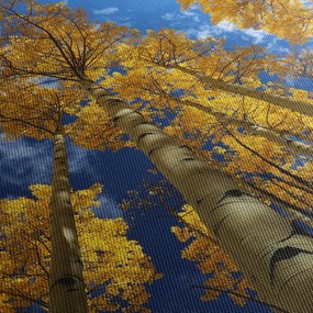 Tablou - Aspen (70x50 cm)