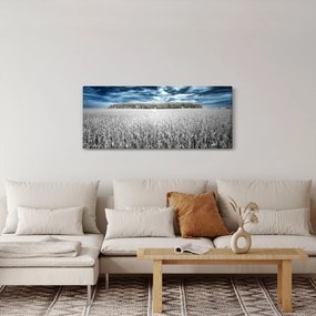 Tablou cu câmp (120x50 cm)