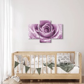 Tablou detaliu de floare de trandafir (90x60 cm)
