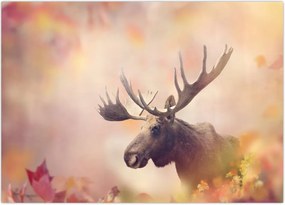 Tablou - Pădure în frunze de toamnă (70x50 cm)