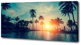 Tablou pe pânză canvas Apus de soare de palmier