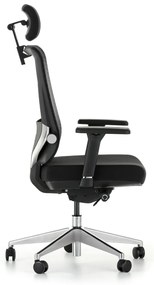 Scaun de birou Ergolux, negru
