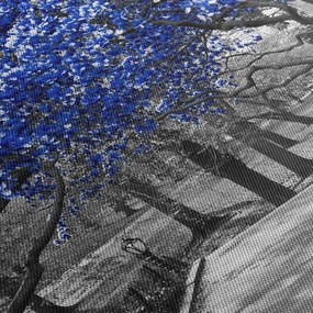 Tablou - Copaci albaștri Central Park, New York (70x50 cm)
