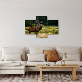 Tablou cu cerb (90x60 cm)