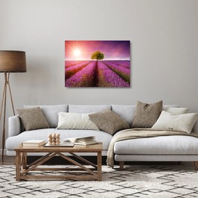 Tablou pe sticlă câmp cu lavandă (70x50 cm)