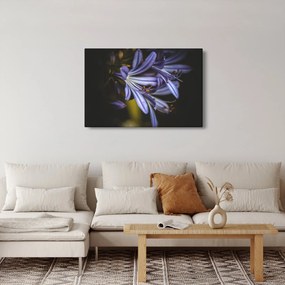 Tablou - Lila (90x60 cm)